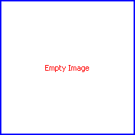 File:SciFigsGraphicSheet EmptyImage.png