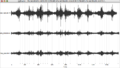 Signal window.png